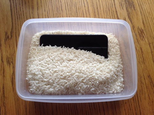 phone_in_rice